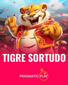 Suporte ao Jogador